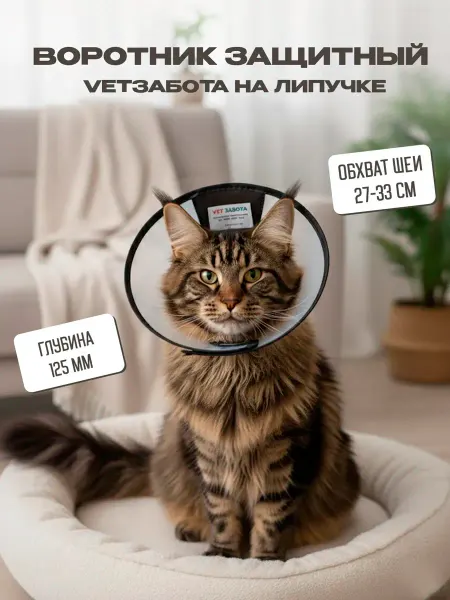 Vetзабота Воротник защитный №12.5, на липучке, прозрачный, 12.5 см