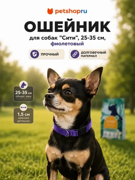 Yami-Yami Ошейник Сити фиолетовый 15мм, обхват 25см-35см