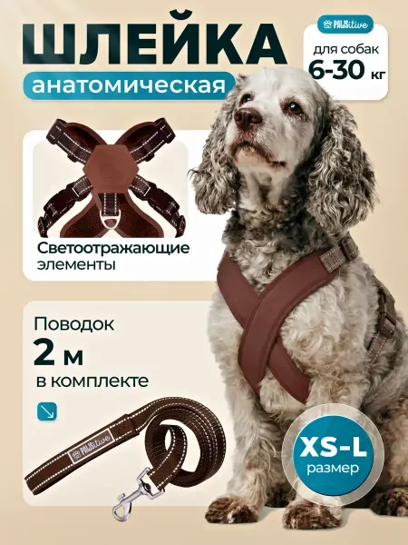 Шлейка анатомическая и поводок 2 м