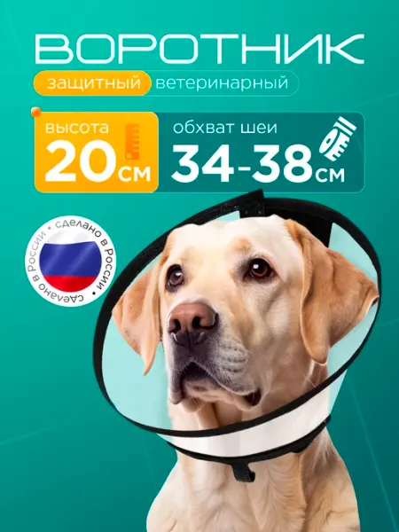 Медторг Защитный воротник ветеринарный для кошек и собак, высота 20