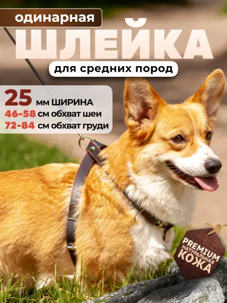 Алтайский ошейник Шлейка для собак средних пород 25 мм