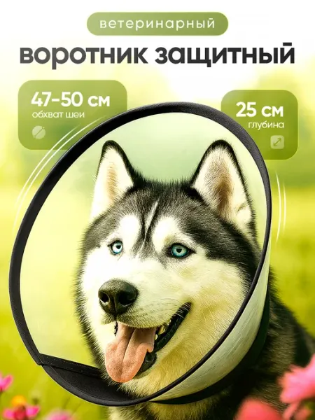 Защитный воротник ветеринарный для собак, высота 25 см