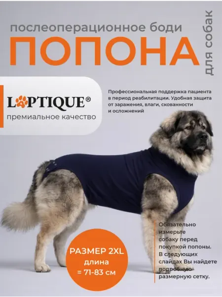 Laptique Послеоперационная попона-боди для собак, 2XL