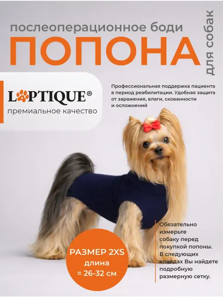 Laptique Послеоперационная попона-боди для собак, 2XS