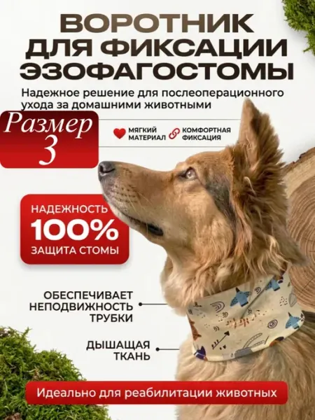 ZOOтекстиль Воротник бандаж для животных с эзофагостомой размер 3