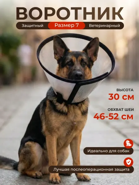 Защитный воротник ветеринарный для собак, высота 30 см