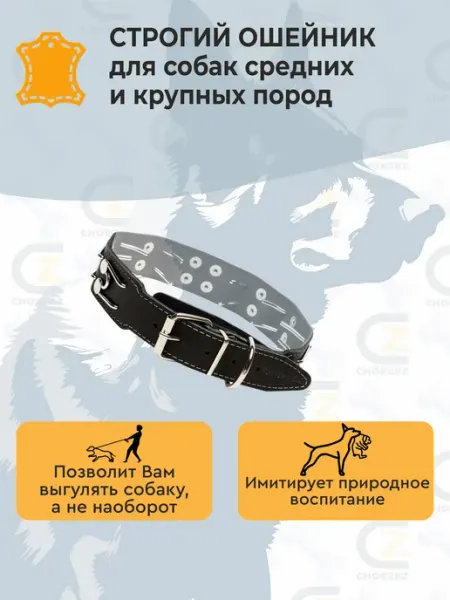 CHOKERZ Строгий ошейник парфорс премиум хромированный 35 мм 55 см
