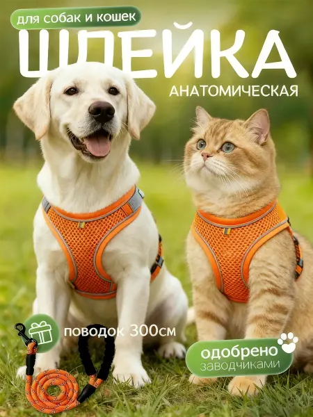 Шлейка для собак и кошек с поводком 3м, легкая, дышащая