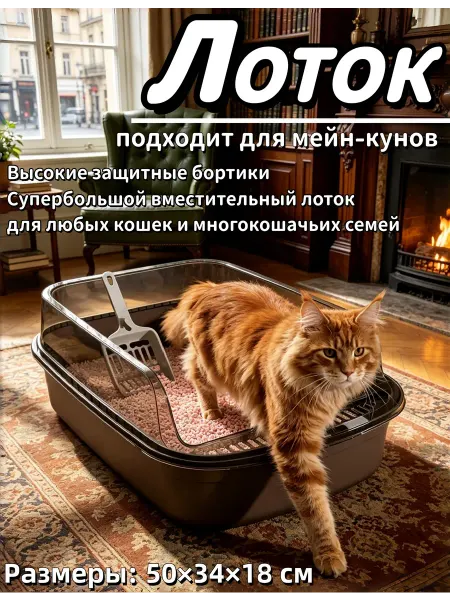 Просторный лоток для всех пород кошек 50х34х18 см