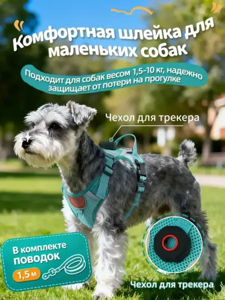 Шлейка для мал.собак с AirTag, дышащая сетка