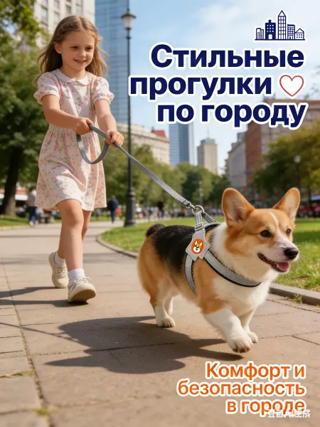 BELIJI УЮТ Шлейка для собак и кошек мелких и средних пород c поводком