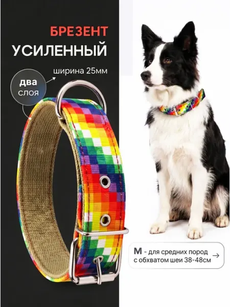 CERBERUS Ошейник брезентовый для собак мелких и средних пород яркий