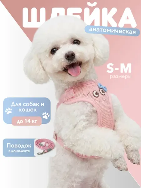 Chicpatte шлейка для собак мелких пород