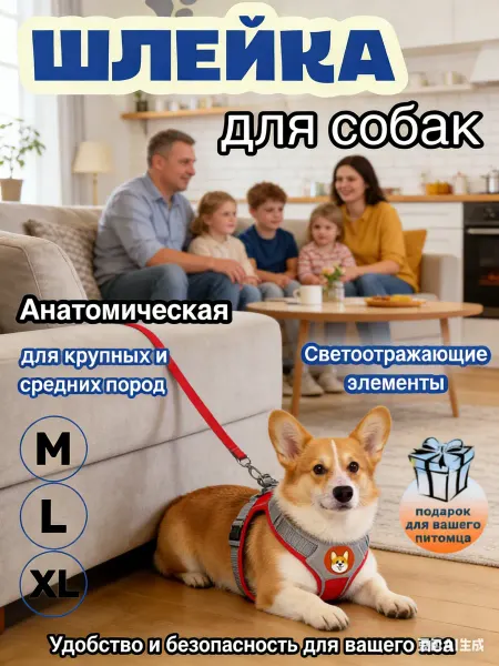 CINLANZOO Шлейка для собак и кошек анатомическая с поводком