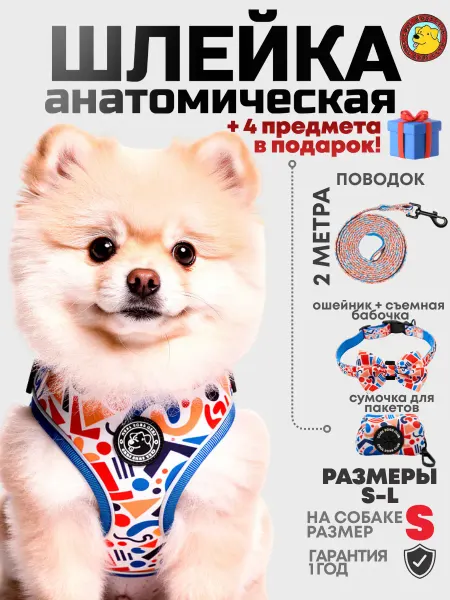 COOL DOGS CLUB Ошейник, шлейка, поводок