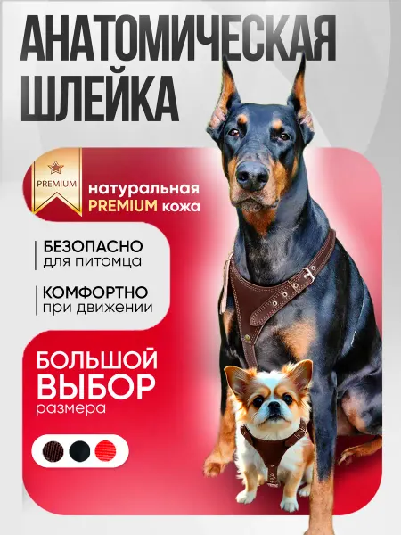 Dober-Крут Шлейка для собак всех пород кожаная
