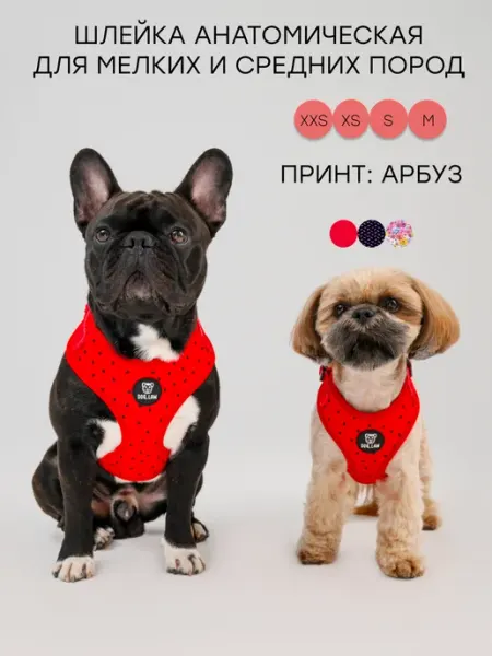 DOG.LAW Шлейка анатомическая для собак