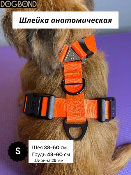 Dogbond Шлейка анатомическая для малых пород собак