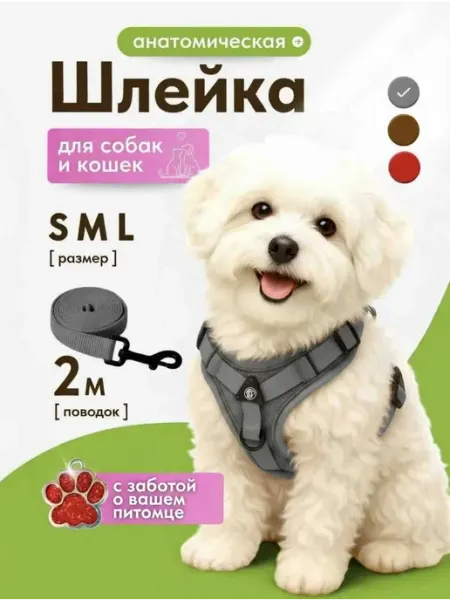 B.DogStyle Шлейка для собак мелких средних пород и кошек с поводком