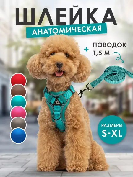 GrantMall Анатомическая шлейка для собак и кошек с поводком
