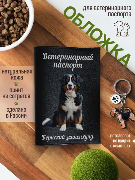 Russian.Handmade Обложка на вет паспорт для собак Бернский зенненхунд