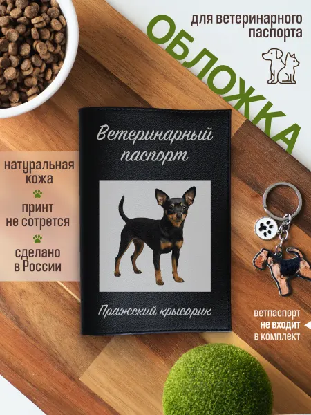 Russian.Handmade Обложка на ветеринарный паспорт для собак Пражский крысарик