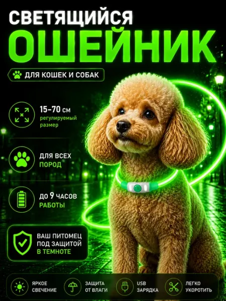 POPER HOME Ошейник светящийся