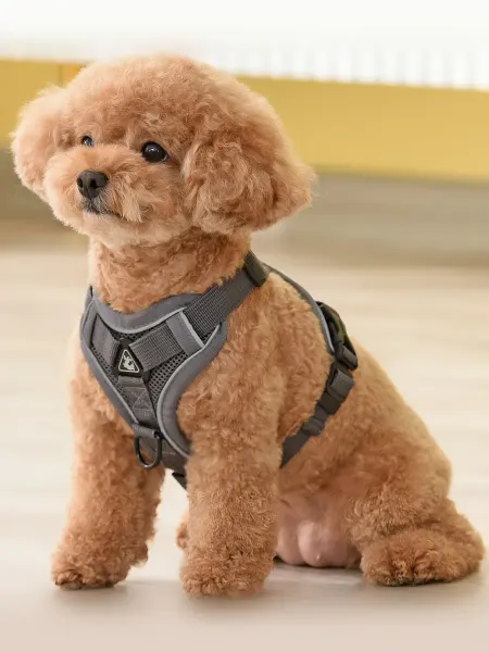 HoneyPet Шлейка для собак и кошек, серая