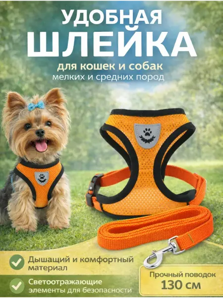 HousHold-goods24 Шлейка для кошек и собак мелких пород