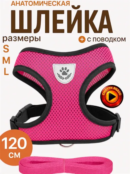 Nooza Шлейка прогулочная с поводком для собак и кошек