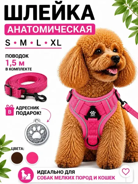NOVIPAW Шлейка для собак мелких и средних пород и кошек с поводком
