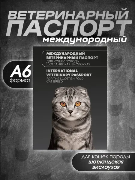 Veterinary Passports Works Ветеринарный паспорт для кошек породы шотландская вислоухая