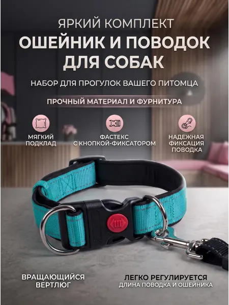 PetOpt Комплект ошейник S и черный поводок M с мягкой подкладкой