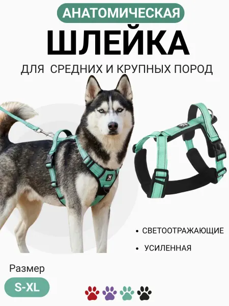 PETORA Шлейка для собак крупных пород усиленная