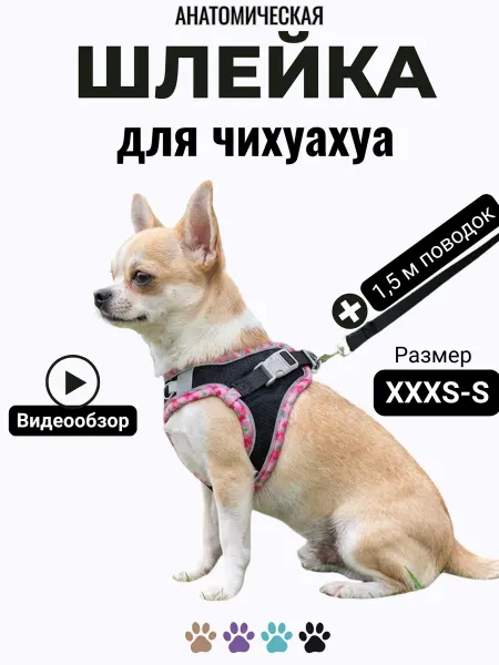 PETORA шлейка для собак мелких пород чихуахуа с поводком