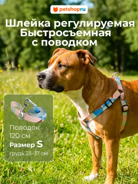 PetShop Шлейка с поводком для собак регулируемая "Пикси", L
