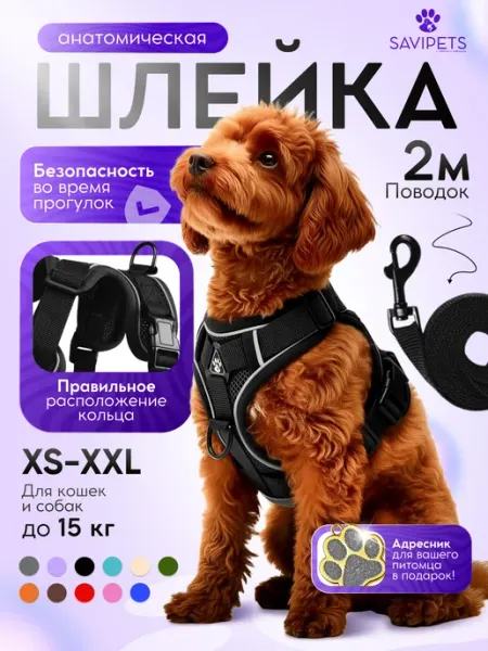 Savipets Шлейка для собак мелких средних пород и кошек с поводком