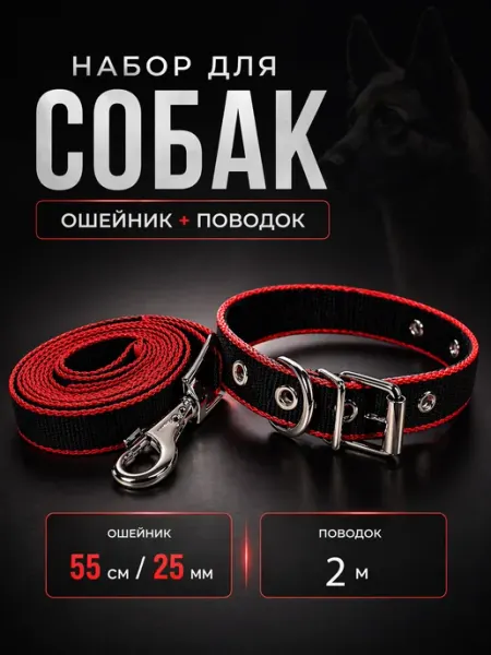 Strong21 Ошейник с поводком для собак мелких средних пород