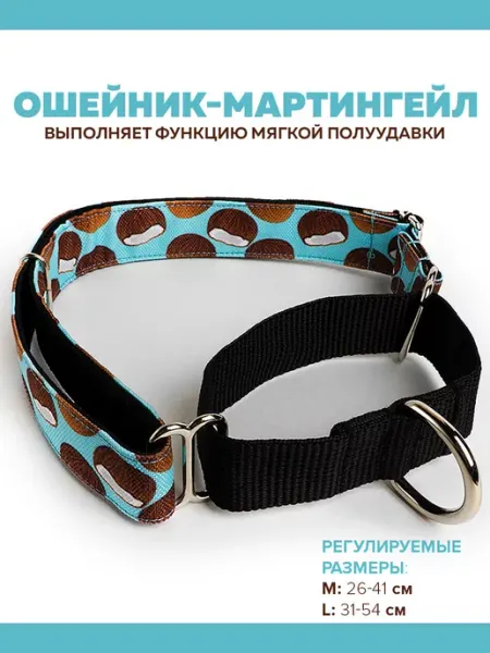 Violdicord Ошейник мартингейл для собак. Удавка