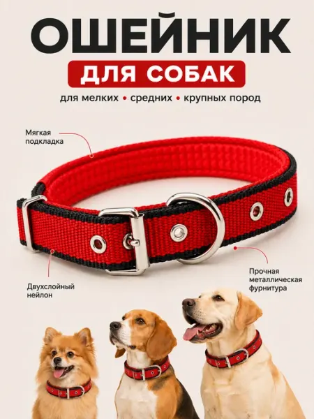 ZebraZoo Ошейник для собак мелких, средних и крупных пород нейлоновый