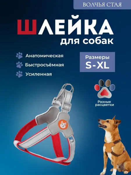 ZOOM Шлейка для собак и кошек анатомическая