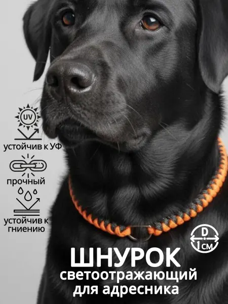 Шнурок ошейник для адресника плетеный из паракорда