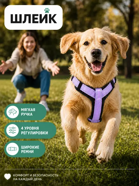 Комфортная анатомическая шлейка для собак, размер M
