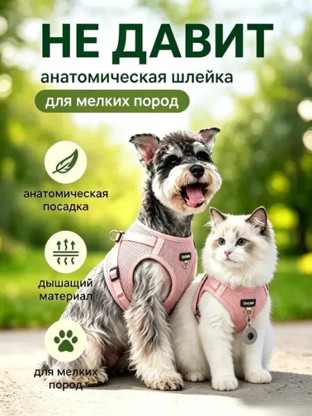 Шлейка для собак мелких средних пород и кошек анатомическая