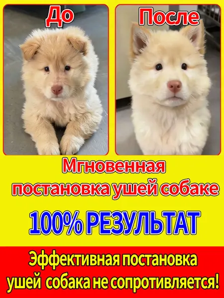 Фиксатор Ушей Собак Без Операции - Гипоаллергенный