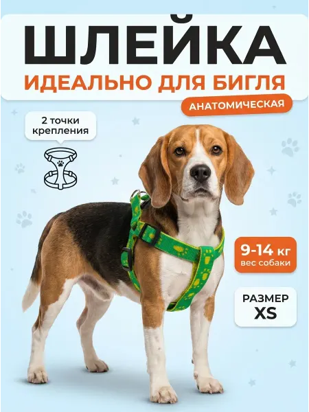Шлейка с поводком для бигля регулируемая