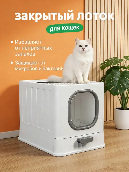 Большой закрытый лоток для кошек — комфорт и чистота
