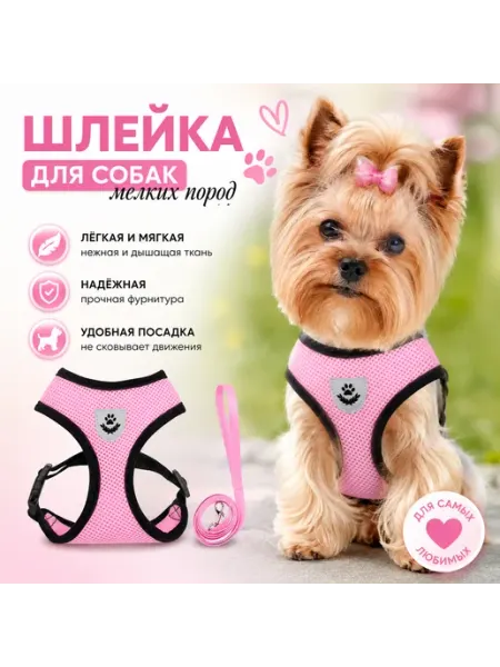Нет бренда Шлейка для собак мелких пород