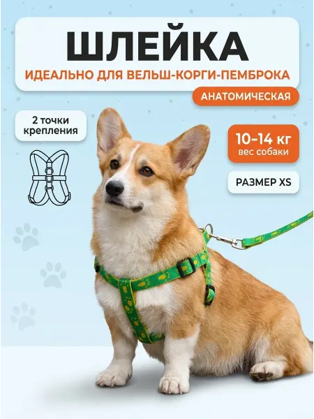 Прогулочная шлейка с поводком для вельш-корги-пемброка