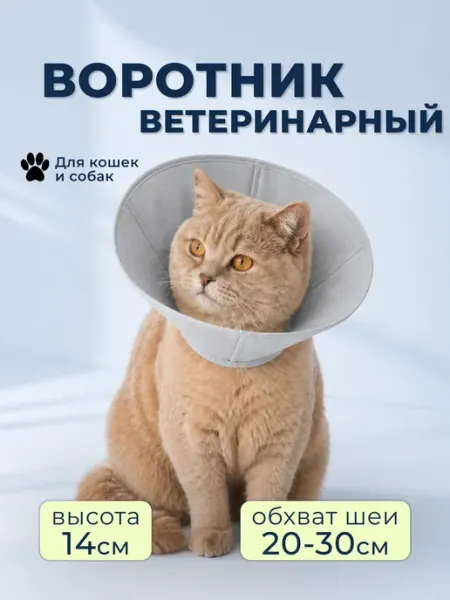 Кошковед Воротник защитный со шнурком для кошек и собак